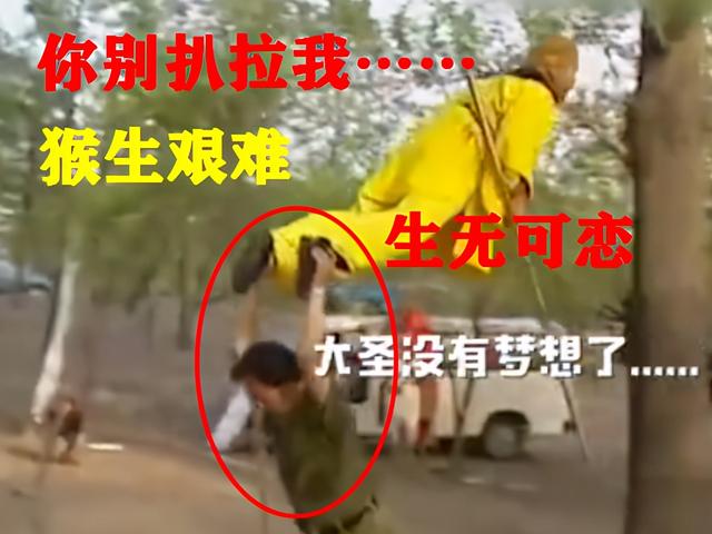 《西游记》珍贵爆笑花絮曝光！唐僧成老司机开车，猴哥起飞全靠拽
