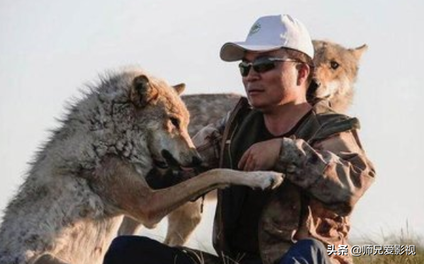 关于演绎狼的电影你知道哪些？