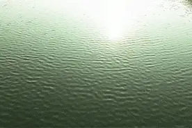 110万就能在成都“五大富人区”拥有一套自己的房子？图片