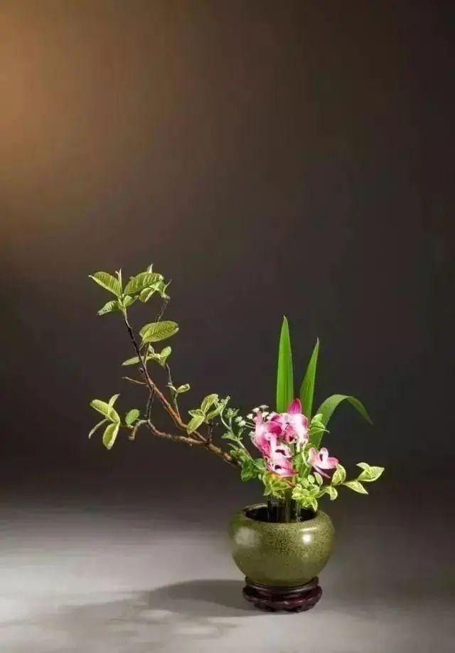 中国花道的特点有哪些呢,如何看懂东方插花艺术?