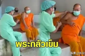 泰国僧侣打疫苗反差萌视频走红泰网，网友：大师也怕打针啊图片