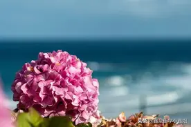 日本留学，每年6月有什么值得观赏游览的景点？图片