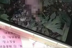 职业学院新爆料，女生宿舍楼下发现一名弃婴，嘴里还塞着布条图片