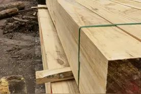 建筑木方价格行情如何（江西木材加工厂分享）？图片