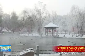 水清河畅野鸭游弋 水磨河治理见成效图片
