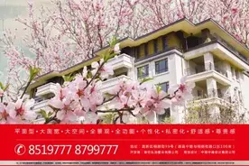 硬核！潍坊电视台主播云探房来啦！图片