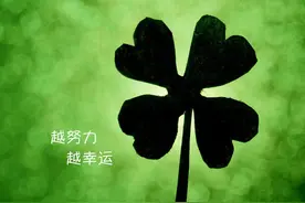 可怕的第二名图片