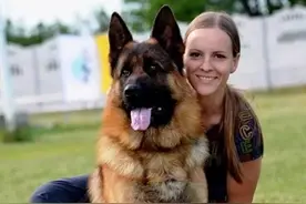 这几种中大型犬，服从性超高，养了不后悔图片