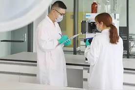 投 3.9 亿！东西湖这家上市公司建新厂！图片