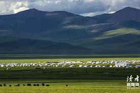 莫言最深刻的7句话，读懂了就活得不累了图片