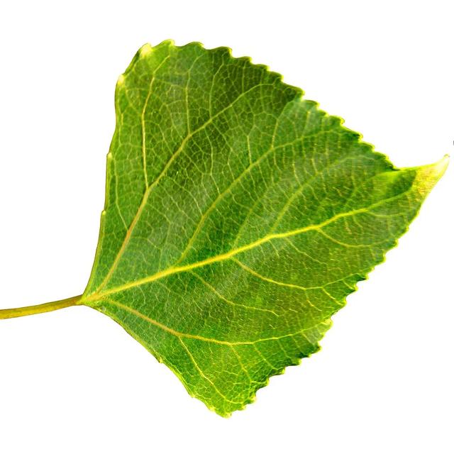 如何管理灌溉配液中各营养元素？这些元素发挥哪些作用？