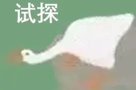 微信常用表情包图片