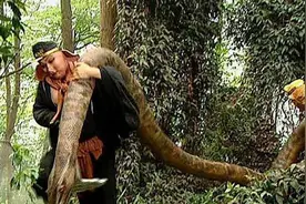 最悲催的妖怪是谁？修炼多年不会说话，还被悟空用特殊法子弄死图片