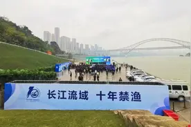 国内的路亚现状，闻者伤心听者落泪｜路亚说图片
