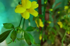 65岁爸爸急性心梗住院治疗记录图片