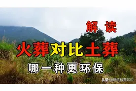 农村传承的土葬对比现代的火葬，哪一种更适合未来的发展？图片