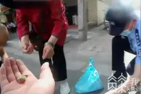 江苏淮安：绿萝花染色冒充金银花，一家七口组团诈骗被抓！图片