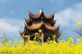一校三地、占地2688亩，培养多位院士，今天重庆这所高校迎来66岁生日图片