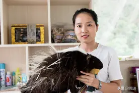“隐居”深山，耐得住寂寞，受得了艰辛，这个漂亮的女人不简单图片