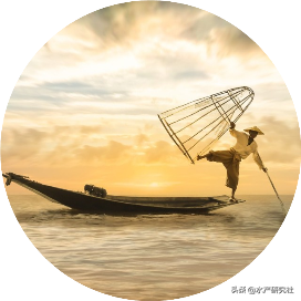 甲鱼鳖类养殖之中华鳖的常用饲料