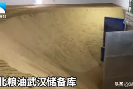 粮食库存是否充裕？记者探访湖北粮油武汉储备库图片