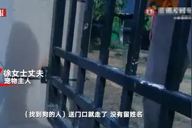狗主人回应寻狗送北京房产：送房子为打印店误打，狗已找回，2万元报酬不实图片