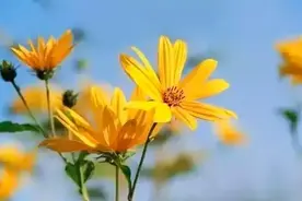 36岁女人倾诉：婚外情三年，老公却一直没发现，胆战心惊总害怕图片