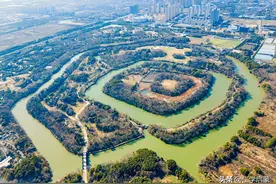 自立自强：中小诸侯的生存法则同于庶民生存（14.8）图片