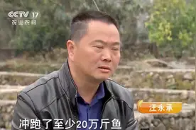 浙江40岁大叔放弃500万产业，回乡养鱼，年入1.8亿，真牛图片