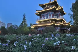 洛阳至西安之旅-洛阳篇图片