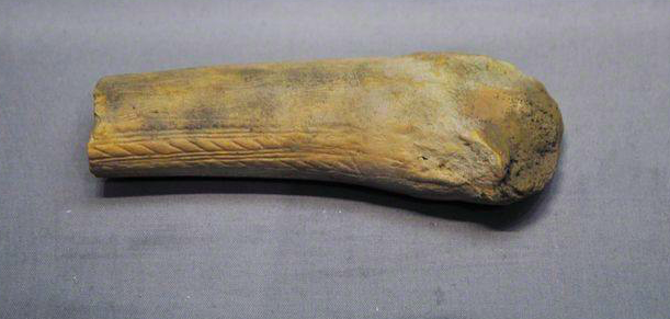 带刻纹的赤鹿角化石