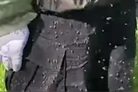 一巴掌拍死100多只蚊子！核技术都不能让蚊子"断子绝孙"？图片