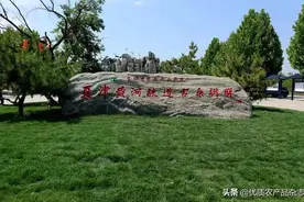 朱保成：传承弘扬农桑文明 让农业文化遗产“活”起来图片