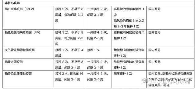 养猫的智商税，快来看看吧