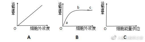 苏教版高中生物必修第一册《组成细胞的元素》教案课件视频