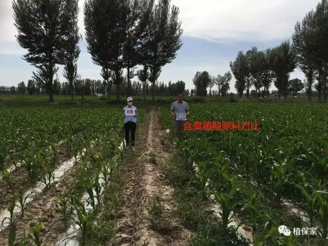 腐殖酸、海藻酸、甲壳素、鱼蛋白、氨基酸，性能作用真的不一样