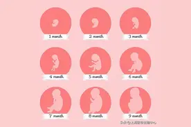 试管婴儿移植一个好，还是两个好？图片