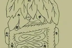 ​古代解剖：134个分布于人体各部的位置图片