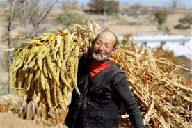 农村俗语“腿长脚瘦，家财必漏”，古人说腿长贫贱，如今却反了图片
