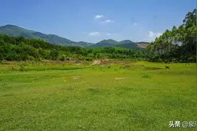 【献礼建区20周年】新桃源图片