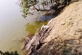 钓友你知道吗？钓鱼时这几件事，比渔获还重要图片