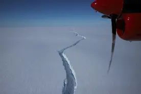 南极裂开大口子，1270平方公里冰山掉进海洋！危机还在后面？图片