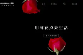 罗永浩520大型翻车现场，高圆圆持股的花点时间实力坑爹？图片