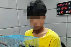 赵县：涉嫌出售2只“小太阳”，一人被刑拘图片