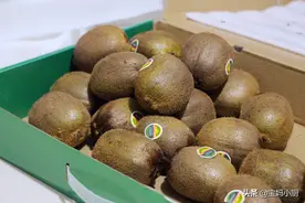 猕猴桃吃软不吃硬，分享个很实用的储存方法，附猕猴桃快速去皮图片