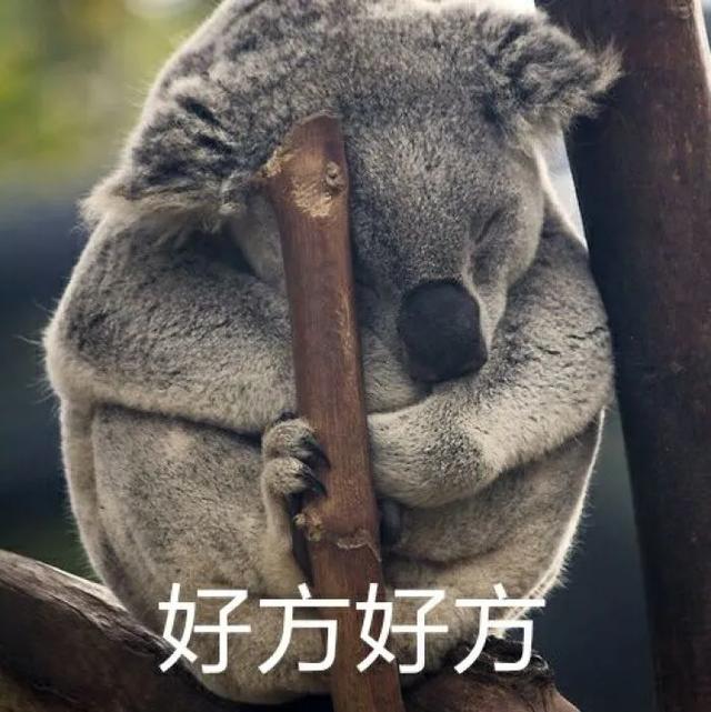 澳大利亚特色介绍 澳大利亚特色介绍200字(图9) 澳大利亚特色介绍 澳大利亚特色介绍200字(图9)