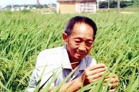 他穷尽半生解决人类温饱问题，如今90岁高龄再添新身份，霸气说出这句话！图片