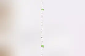 假如把历史上的皇帝都拉进一个微信群，个个都是人才，说话又好听图片