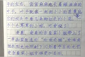 家长晒二年级学霸的作文，不仅联想丰富，而且还写出“印刷体”图片