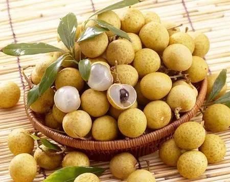 带你了解不一样的水果—龙眼，美味水果之一